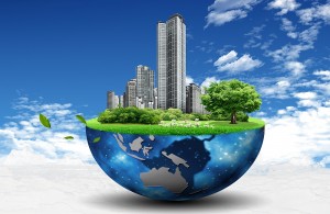 MEDIOAMBIENTE Y CULTURA CORPORATIVA