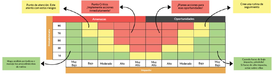 MATRIZ DE RIESGOS